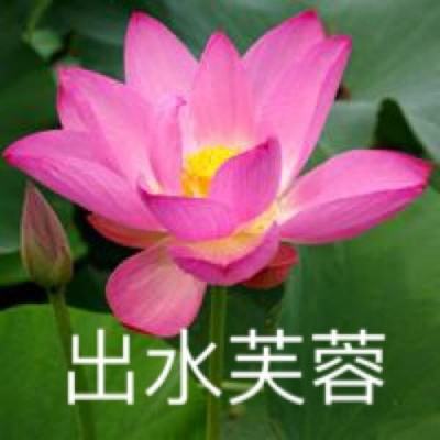 u号租平台官方下载